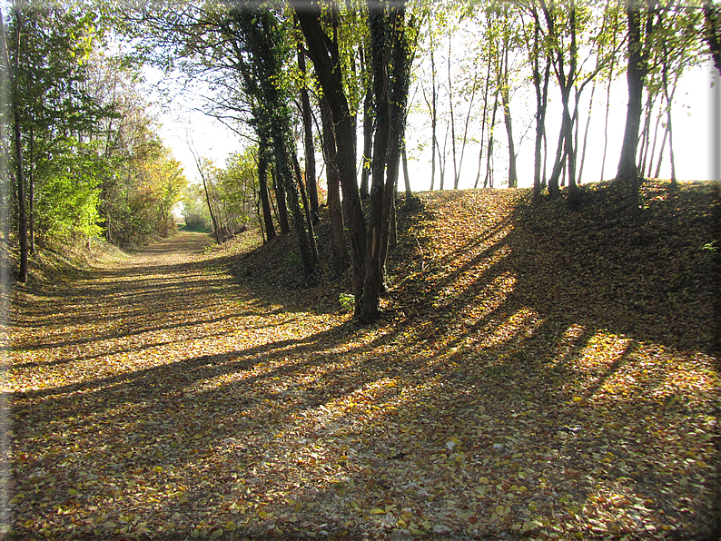 foto Alle pendici del Monte Grappa in Autunno